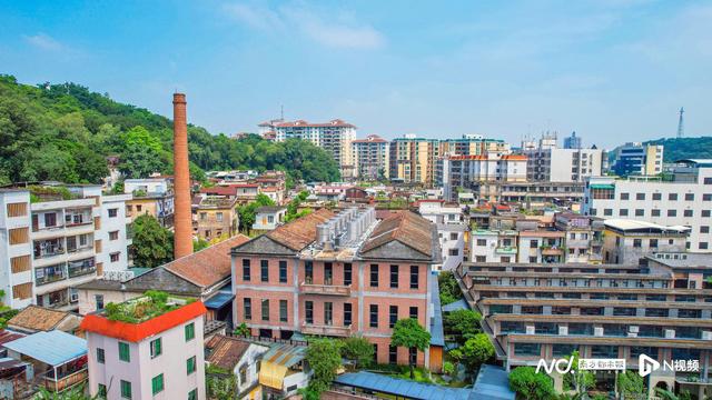 顺德60多年历史老厂房变身，开园半年超10万人“打卡”
