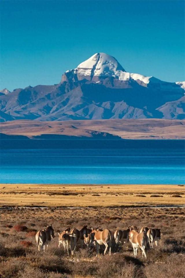 国内自驾游最经典的27条路线，适合退休人士，争取一年走2条！