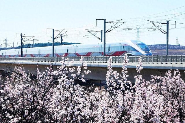 朝阳 浪漫来袭，邂逅“开往春天的列车”
