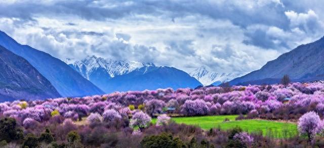 两性关系“男怕前，女怕后”，为何男人怕前女人怕后原因是什么？