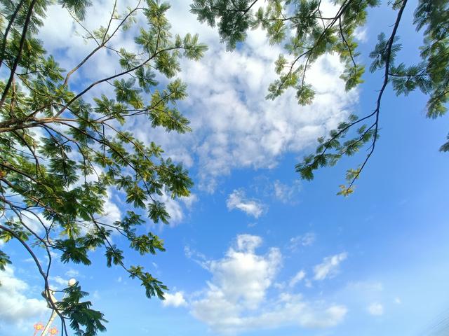 抬头瞬间，我撞见了生活藏的糖。