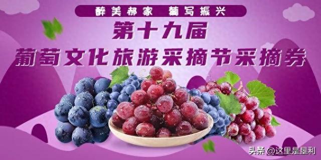 福利来袭！无线垦利送葡萄采摘券啦