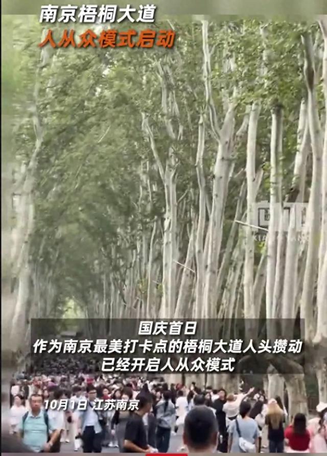 南京梧桐大道人从众模式启动