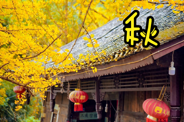 秋天适合吃的菜式（进入秋季）