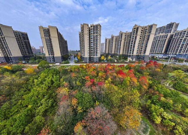 日子寻常，门前的风光不重样：记录湖南冬日限定的温柔