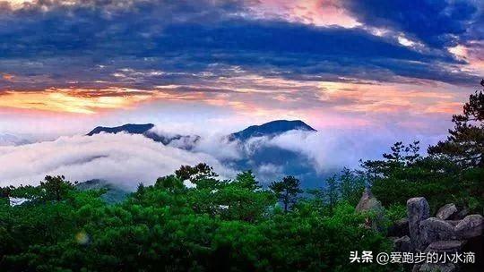 天目山：大树王国，江南奇秀