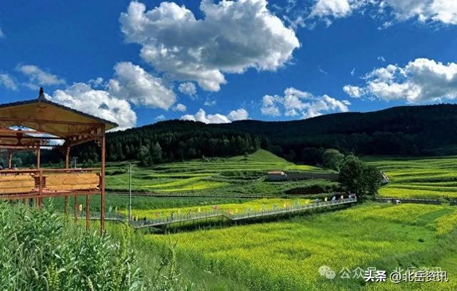 浑源县东葫芦头村：油菜花海引客来 清凉乡村醉游人