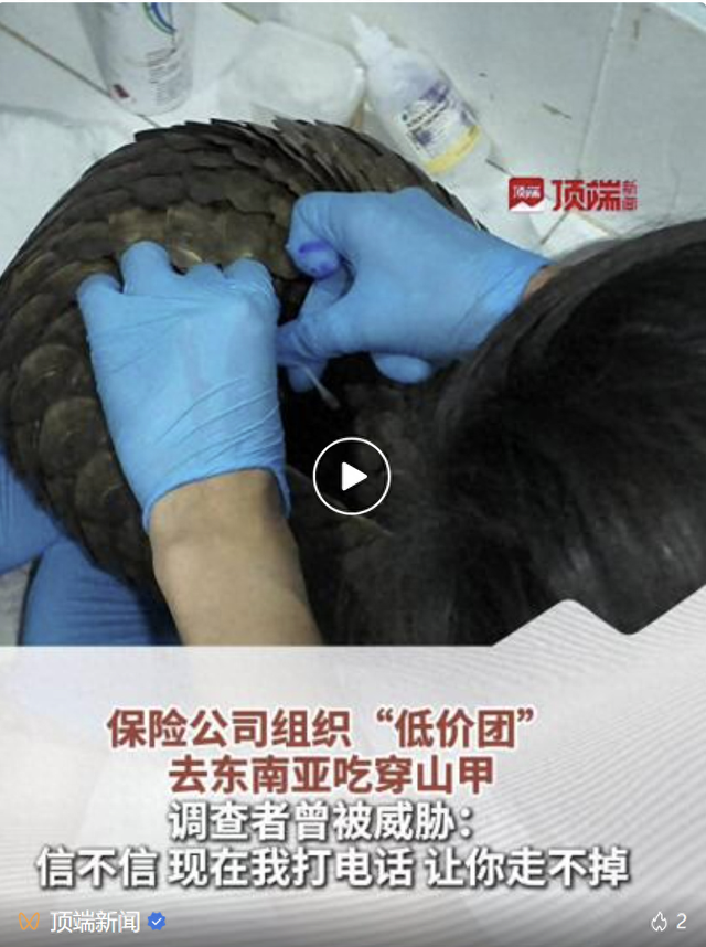 低价东南亚旅游“渠道团”调查：吃穿山甲、卖假特产，专坑老年人，只要团里有一个人购物，当地地接就能回本