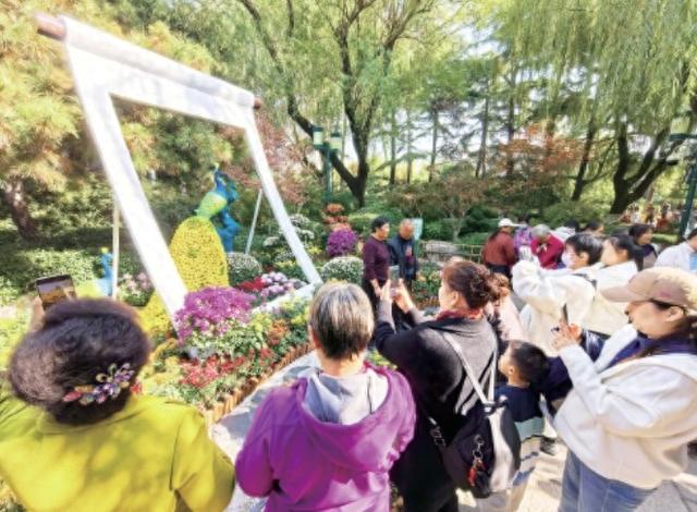 趵突泉金秋菊展迎来最佳观赏期