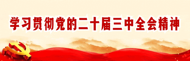 【网秀双鸭山】四排赫哲族乡3.6万平方米马鞭草盛放
