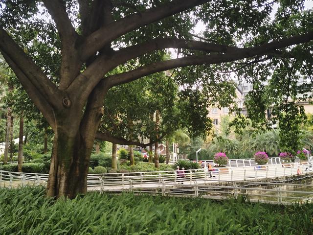 南行漫记：和宜宾握手再见，到李庄古镇打卡，今天跑到贵州