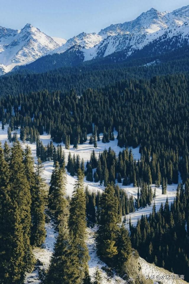 免票/半价/1元购，昌吉多家景区优惠来了！