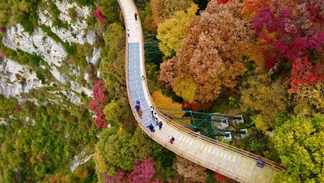 秋染秦岭引客来 少华山书写生态文旅高质量答卷