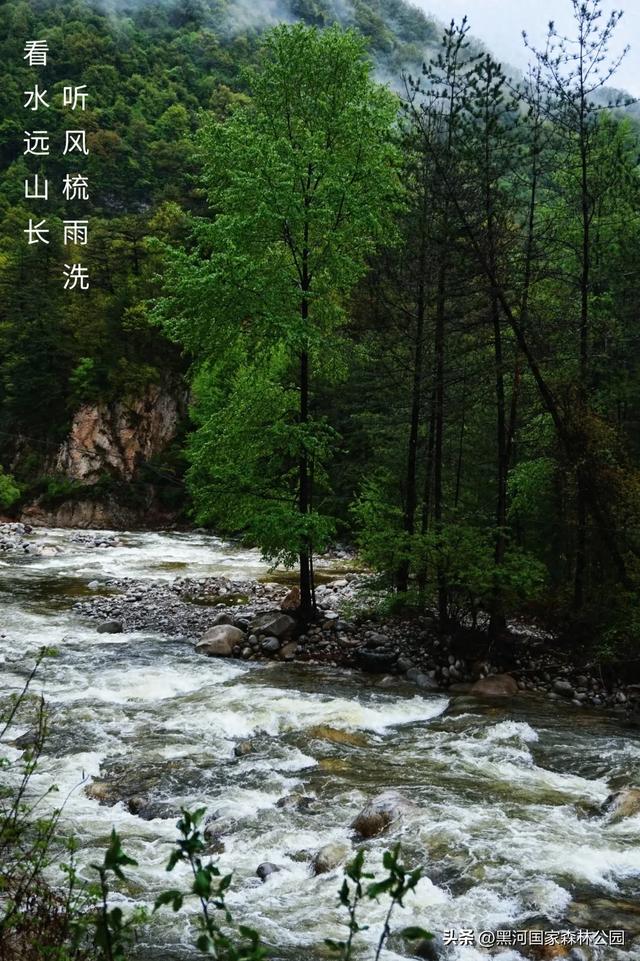 来一场「云赏黑河」之旅！听雨观山，神游林海