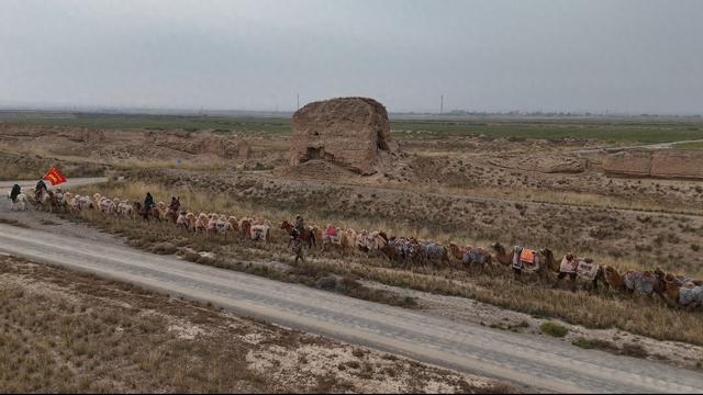 重走古丝路，驼铃响彻三千公里