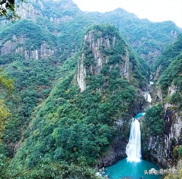 温州这个亲子游玩胜地、植物自然课堂孩子玩嗨家长不累