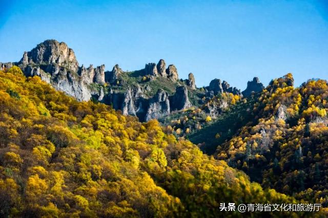 双节假期寻秋记：互助北龙山——藏在互助的“调色盘”，每一步都是诗意