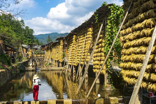 新华社出图·年度记忆｜永续的乡愁#(2)