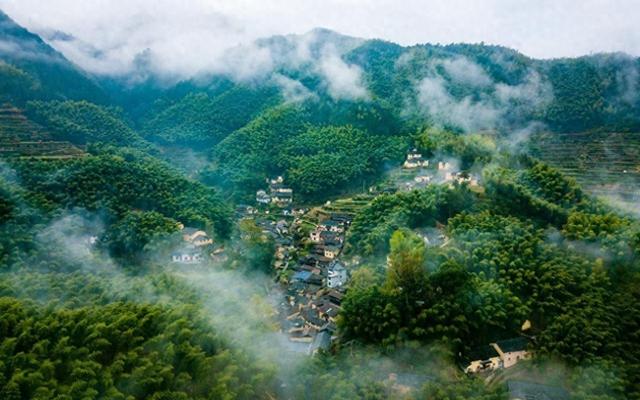 “白天白露，单衣过冬；夜晚白露，冻死老牛”，今年白露在几点？