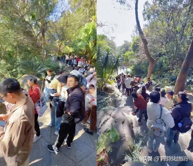 福州马拉松都下班了,爬鼓山还火到排队‼️福州鼓山登山路线攻略