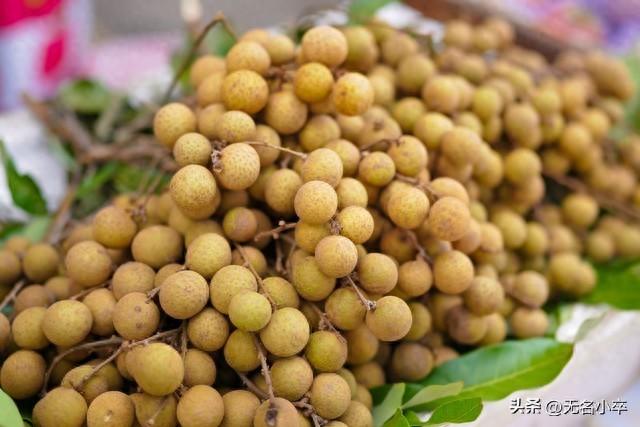 我来告诉你，广西水果自由的背后藏着多少“不可告人”的秘密