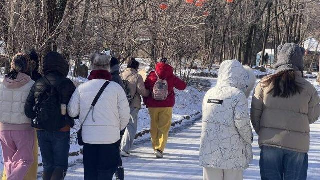 千山雪景再上新 游人如织享冬趣