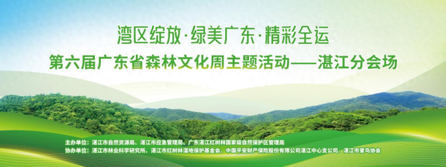 森林文化周开始啦！这个周末，金沙湾有约→