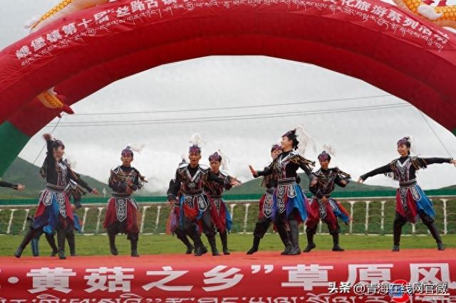 祁连县峨堡镇第十届“丝路古镇・黄菇之乡”草原风情文旅活动启幕