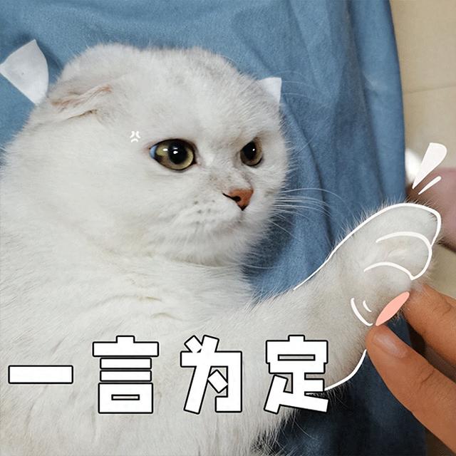 满满烟火气！兰州值得一去的6个美食街推荐