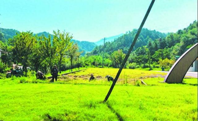 守住巢湖“源头美” 三冲巢湖源景区启动环境卫生专项整治