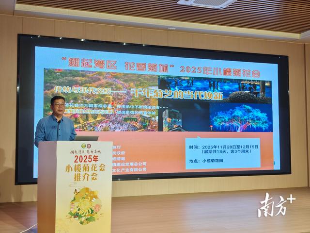 11月28日开幕，2025年小榄菊花会有这些亮点