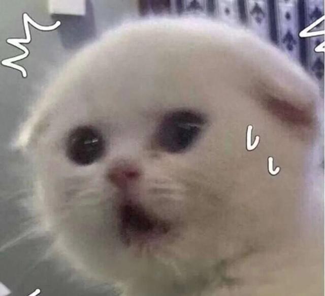 最新资讯-上海一对婆媳因障碍加梯，与五位邻人“大打脱手”！(1)