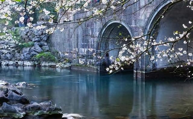 杭州惊现大批日本游客！不挤西湖不抢杭帮菜，真相竟藏在行李箱里