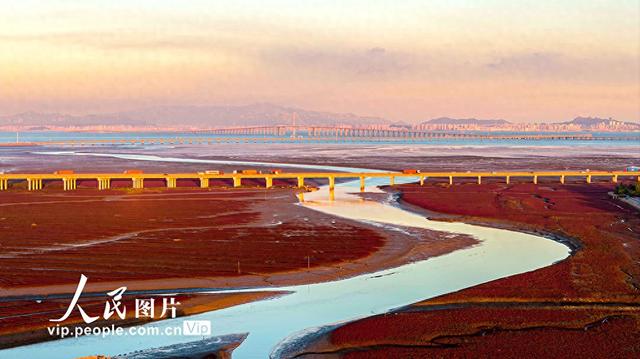 山东青岛：红海滩绚丽多彩