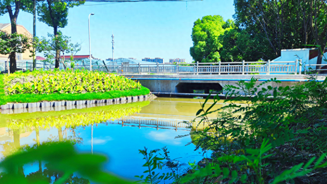 参与古镇联合申遗背后，上海新场镇的“治河”之路