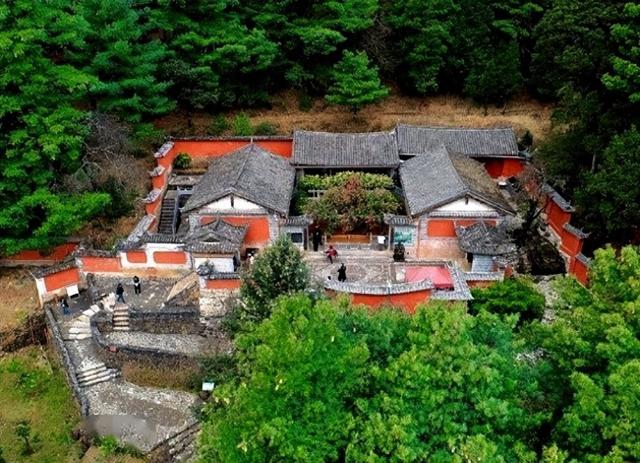 玉峰寺看山茶花