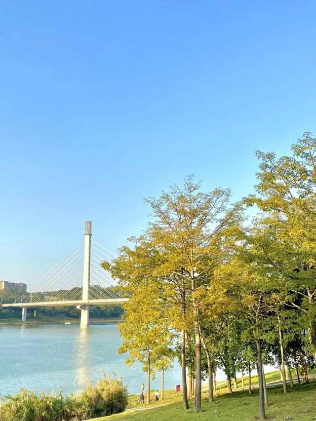 消防宣传月丨赶紧冲！本周活动表曝光→互动学习赢好礼，不来亏大了！