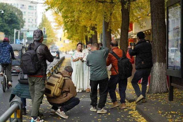 来文庙玩转银杏季！温江，你是懂浪漫的