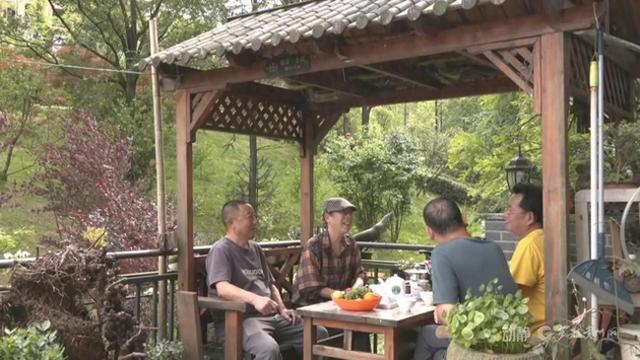 夏季“候鸟”栖息地遵义登榜前十，避暑旅居成为当地新时尚