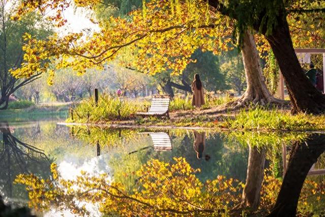 上海深秋封神路线！红叶燃秋+古寺银杏，3条私藏线承包你的诗意