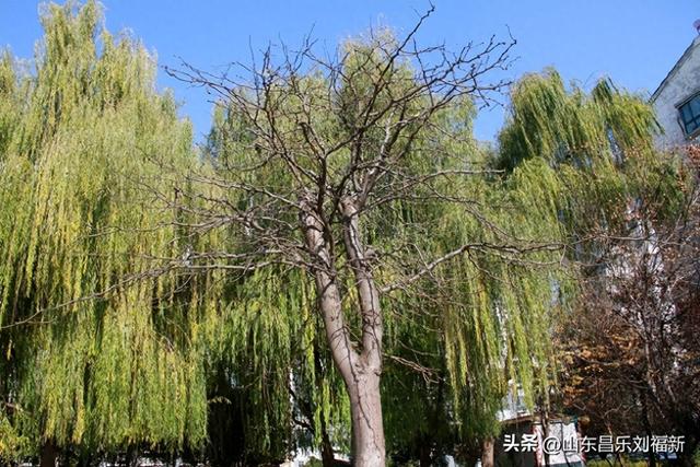 转了一个小圈·及其它