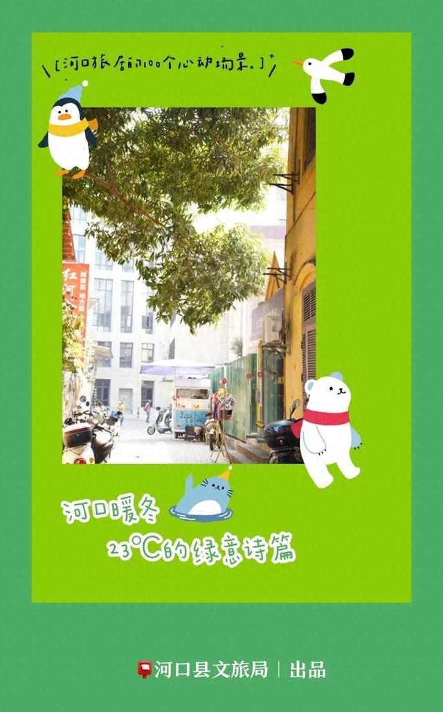 河口旅居的100个心动场景 | 国门边城的暖冬旅居