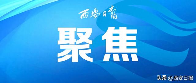 让观众的欢呼激发文旅“复利”（现场评论）