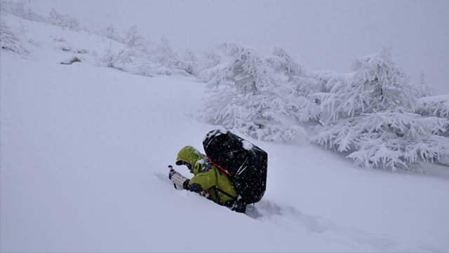 女强驴踏雪第五次穿越鳌太线，带着三名队友，再一次被困山中