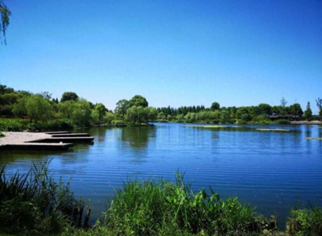 东沙湖是大江东诗意生活的进阶，它还是钱塘海绵城市的核心节点