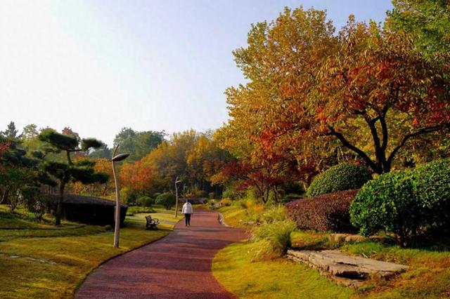 山东日照：一叶知秋意 满目皆画卷