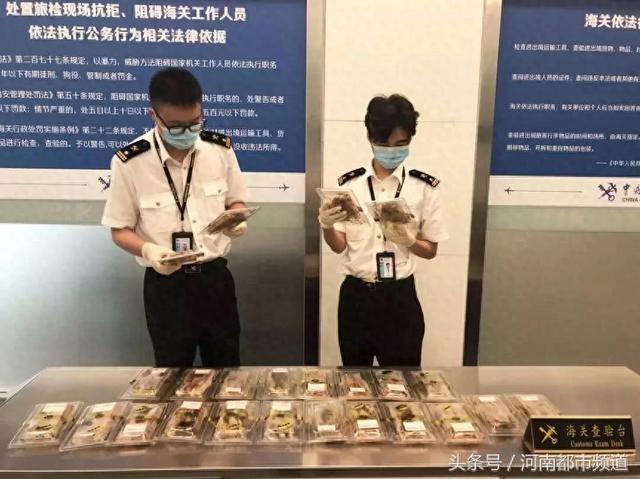 过关不给带燕窝花胶 2026年过关不给带燕窝花胶是真的吗