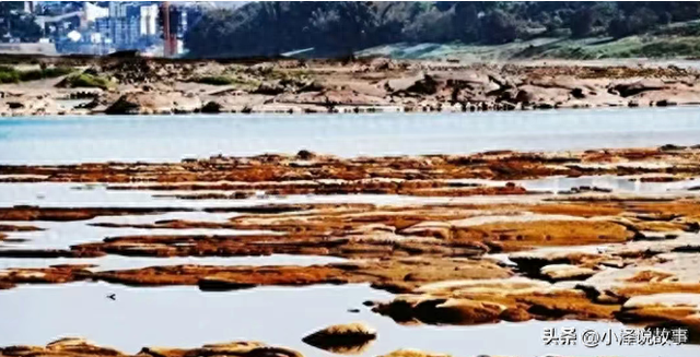 中国第3大岛屿，每年以140多米的速度在扩大，很快将会和大陆相连