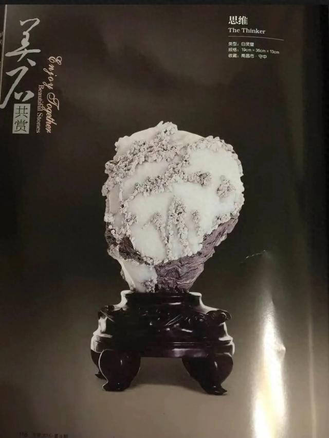 尉迟晨