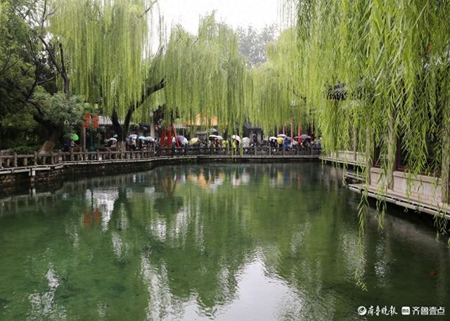 雨中趵突泉，美得让人醉